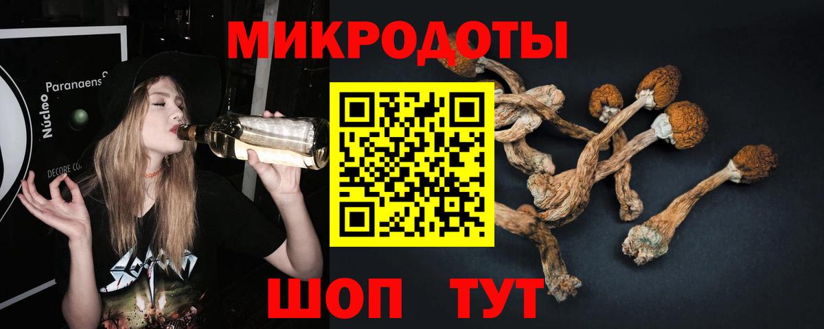 Псилоцибиновые грибы Psilocybine cubensis Когалым