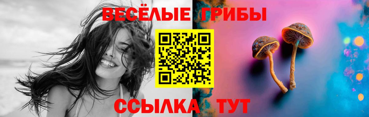 Когалым  Галлюциногенные грибы Psilocybine cubensis  Вход с VPN  наркотики  Галлюциногенные грибы прущие грибы 